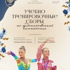 МФСОО Мир