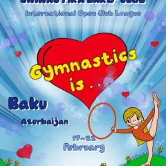 Gymnastics is…